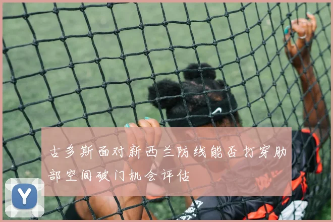 古多斯面对新西兰防线能否打穿肋部空间破门机会评估