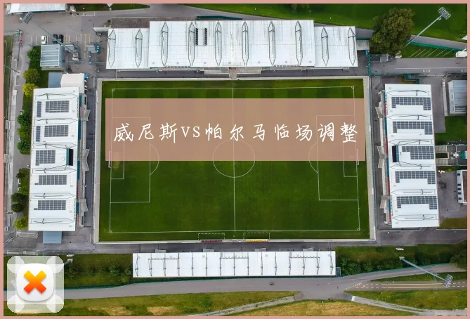 威尼斯vs帕尔马临场调整