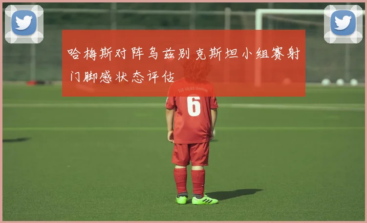 哈梅斯对阵乌兹别克斯坦小组赛射门脚感状态评估