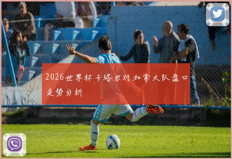 2026世界杯卡塔尔对加拿大队盘口走势分析