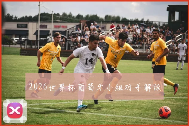 2026世界杯葡萄牙小组对手解读