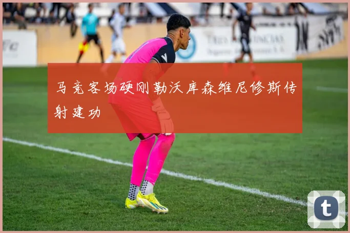 马竞客场硬刚勒沃库森维尼修斯传射建功