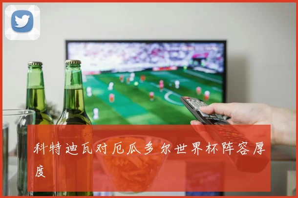 科特迪瓦对厄瓜多尔世界杯阵容厚度